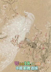 越鸟巢南枝巢的意思